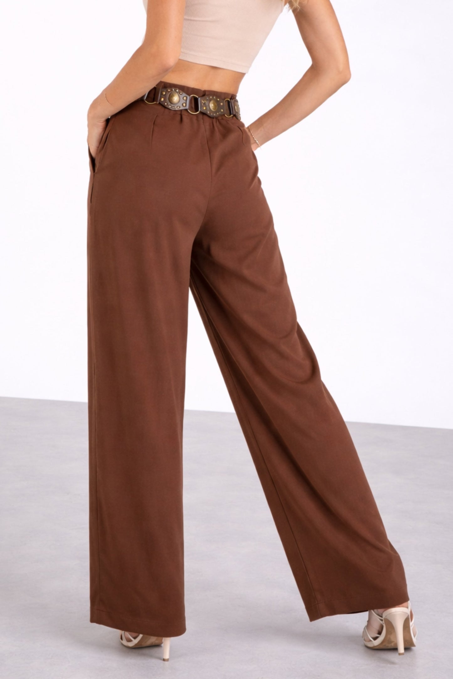 Brown Pants with Inverted Pleats