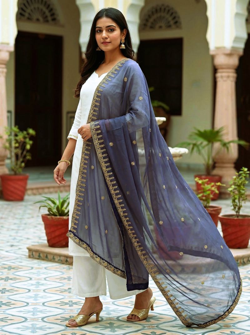 Organza Silk Stone Handwork Dupatta