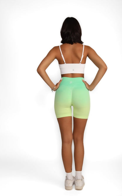 Ombré Shorts 3.0