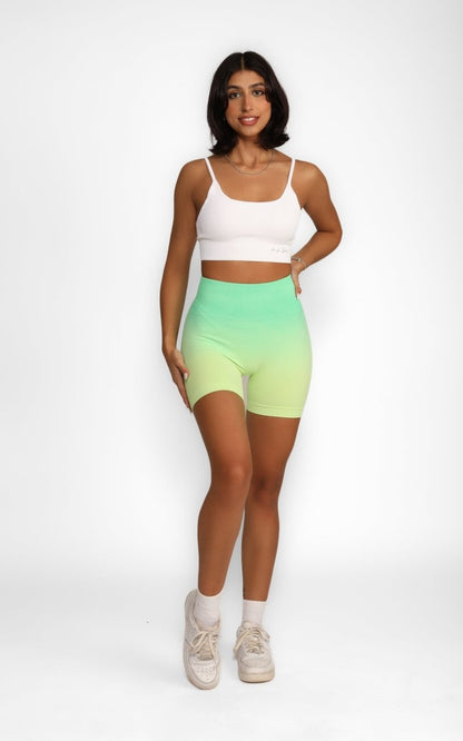 Ombré Shorts 3.0